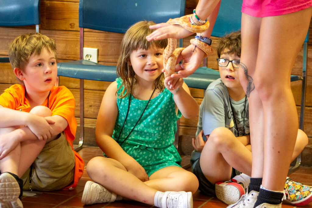 A young girl pets a snake held by a handler while two boys watch in awe at CampCARE 2024.